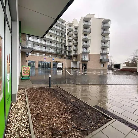 Wiktoryn 6a! 1 Pokojowe Mieszkanie! *